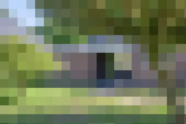 Emdenmeen 54 Harderwijk thumbnail 9