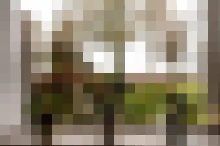 Emdenmeen 66 Harderwijk thumbnail 20