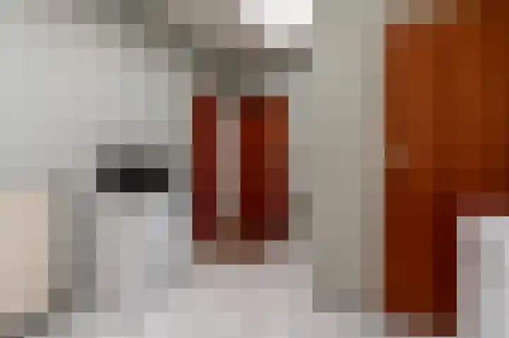 Emdenmeen 66 Harderwijk thumbnail 35