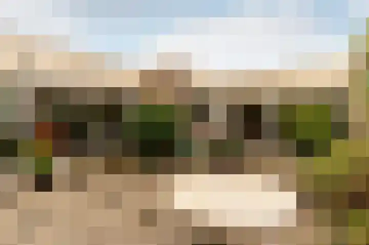 Emdenmeen 66 Harderwijk thumbnail 38