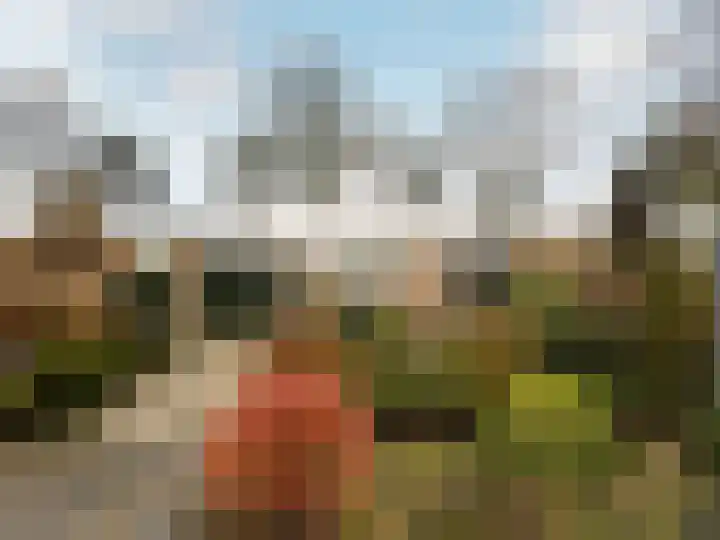 Emdenmeen 66 Harderwijk thumbnail 39