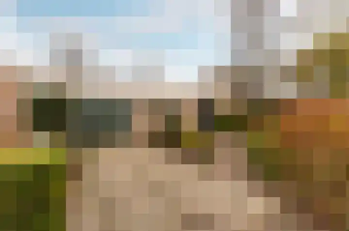 Emdenmeen 66 Harderwijk thumbnail 40