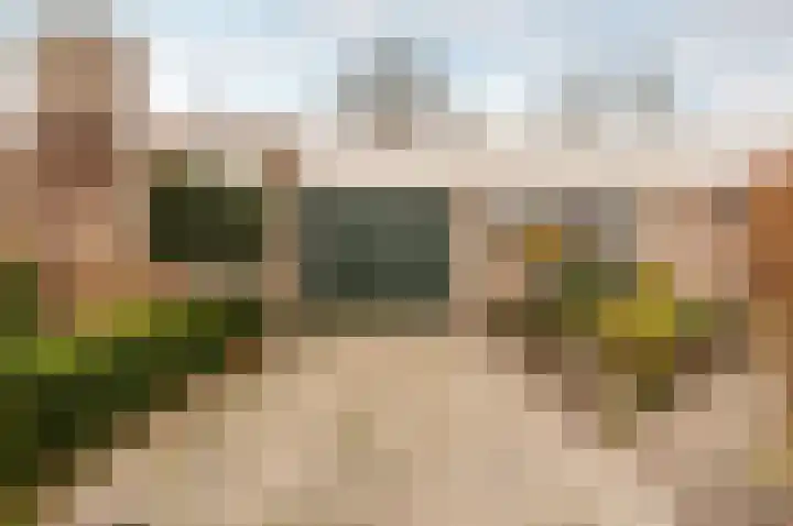 Emdenmeen 66 Harderwijk thumbnail 41