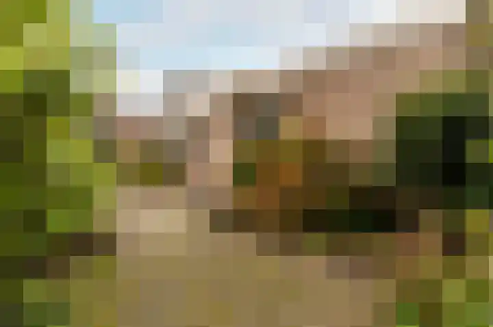 Emdenmeen 66 Harderwijk thumbnail 43