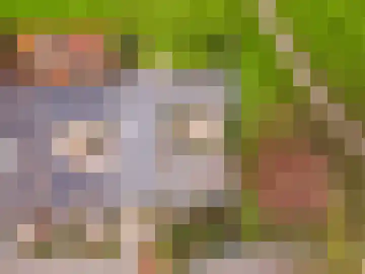Emdenmeen 66 Harderwijk thumbnail 48