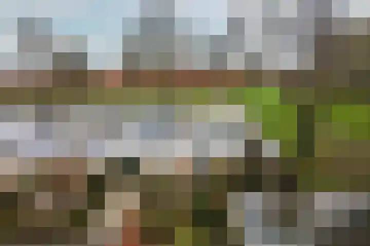 Emdenmeen 66 Harderwijk thumbnail 51