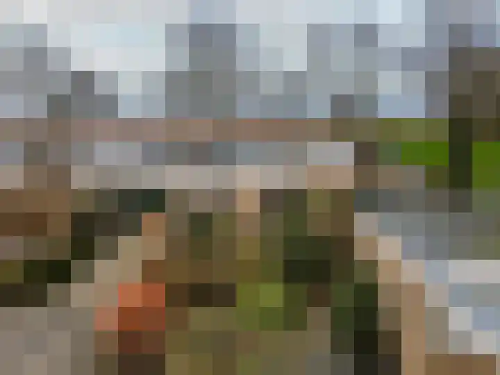 Emdenmeen 66 Harderwijk thumbnail 52