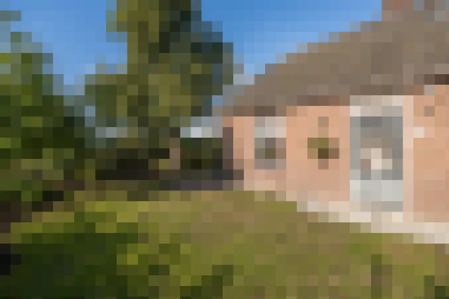 Emelaarseweg 13 A Stoutenburg Noord thumbnail 38