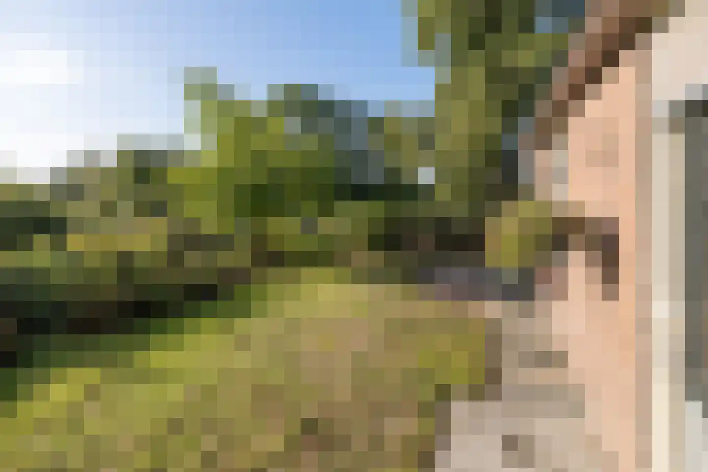 Emelaarseweg 13 A Stoutenburg Noord thumbnail 40