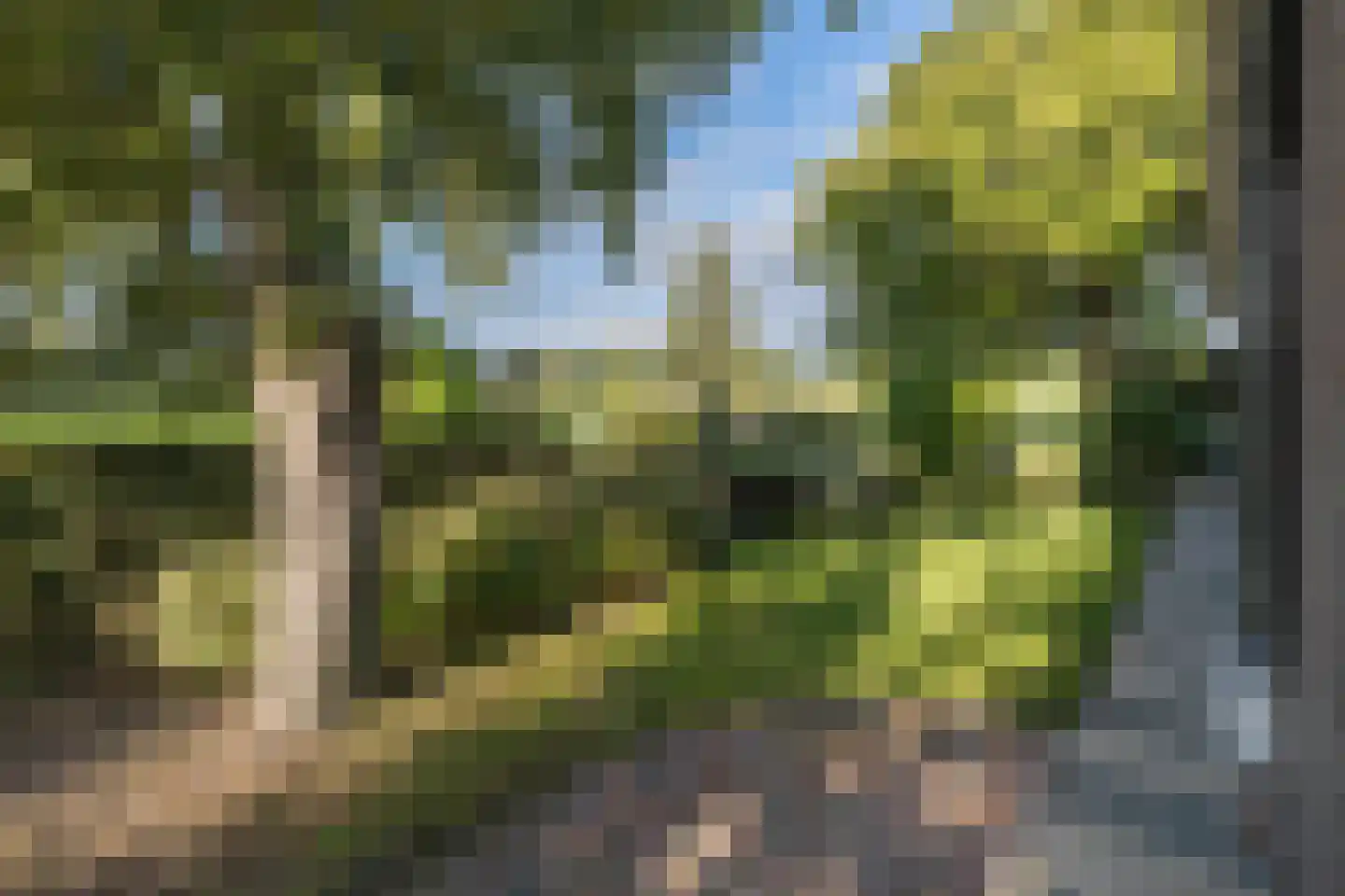 Emelaarseweg 13 A Stoutenburg Noord thumbnail 42