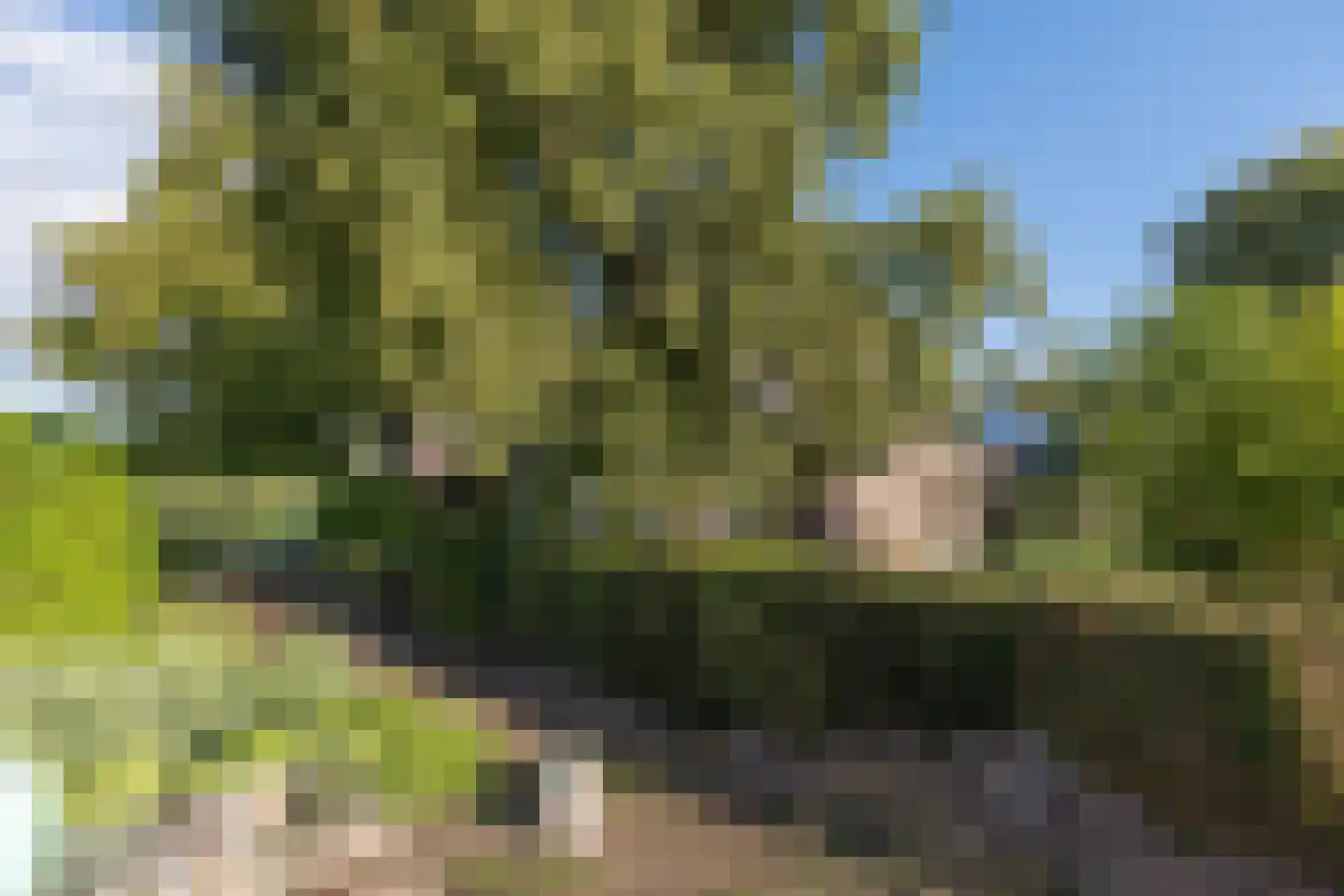 Emelaarseweg 13 A Stoutenburg Noord thumbnail 43