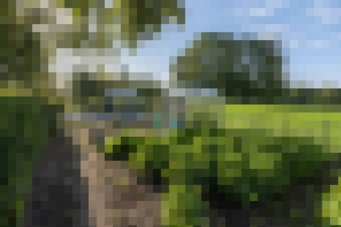 Emelaarseweg 13 A Stoutenburg Noord thumbnail 44