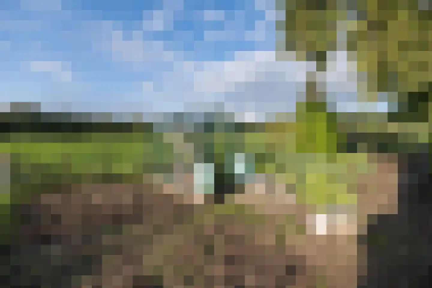 Emelaarseweg 13 A Stoutenburg Noord thumbnail 48