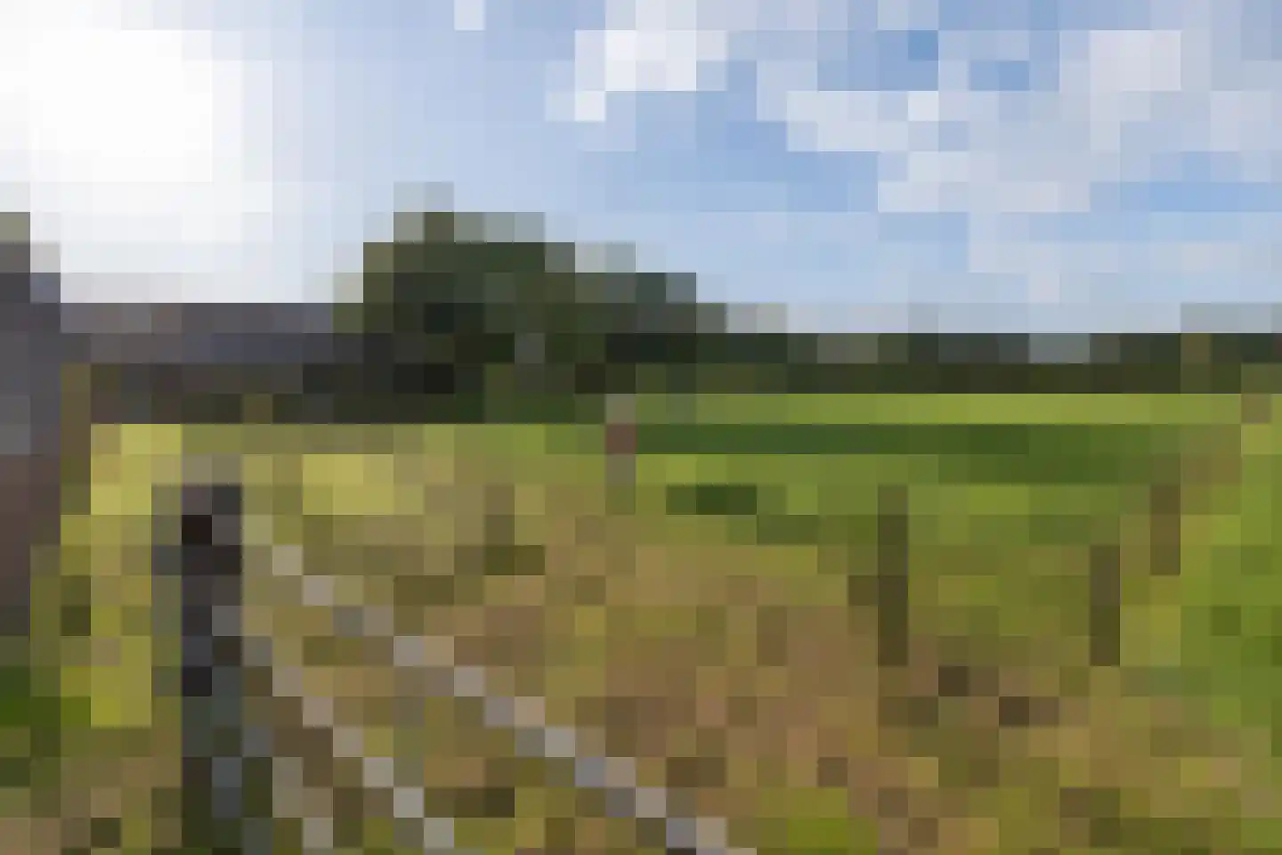 Emelaarseweg 13 A Stoutenburg Noord thumbnail 59