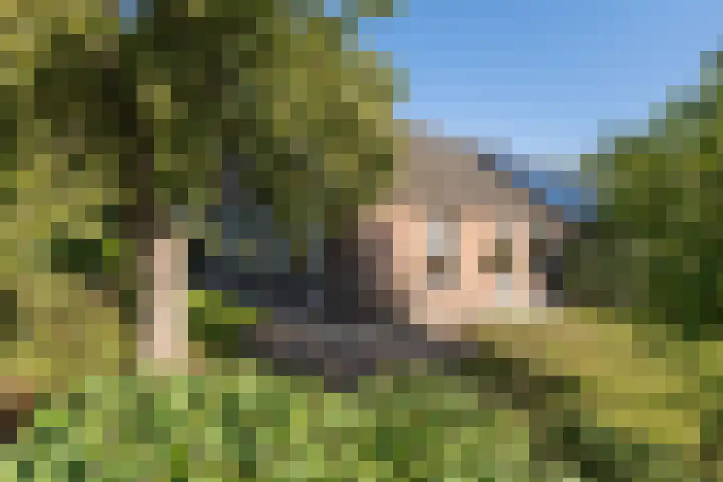 Emelaarseweg 13 A Stoutenburg Noord thumbnail 8