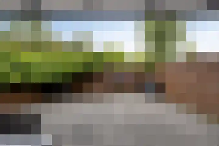 Emelissedijk 205 Rotterdam thumbnail 23