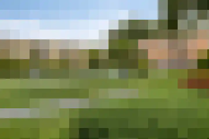 Emelissedijk 205 Rotterdam thumbnail 29