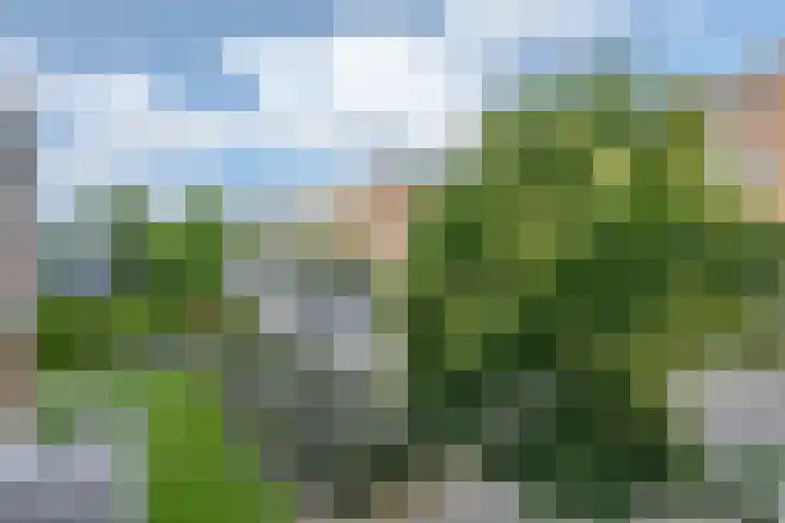 Emelissedijk 243 Rotterdam thumbnail 11
