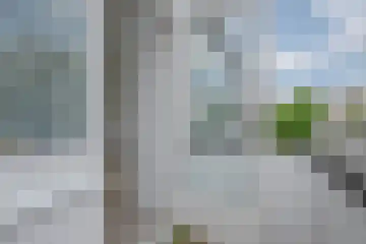 Emelissedijk 243 Rotterdam thumbnail 12