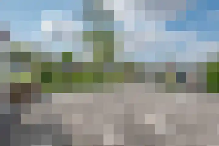 Emelissedijk 243 Rotterdam thumbnail 23