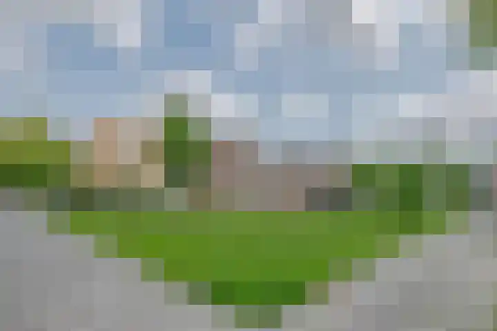 Emelissedijk 243 Rotterdam thumbnail 24