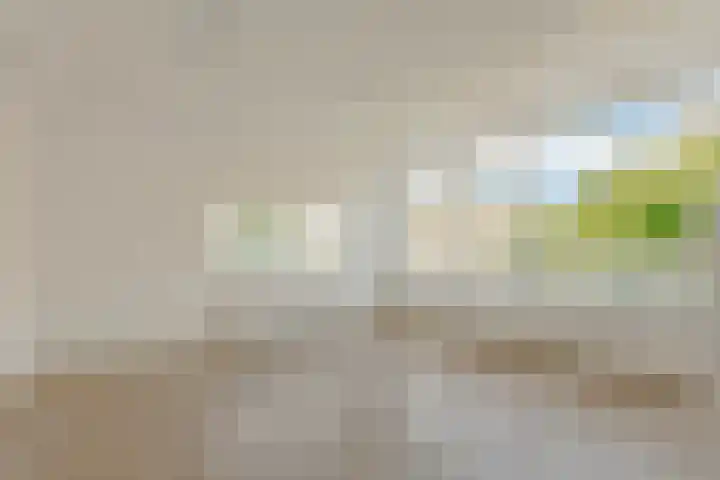 Emelissedijk 243 Rotterdam thumbnail 7