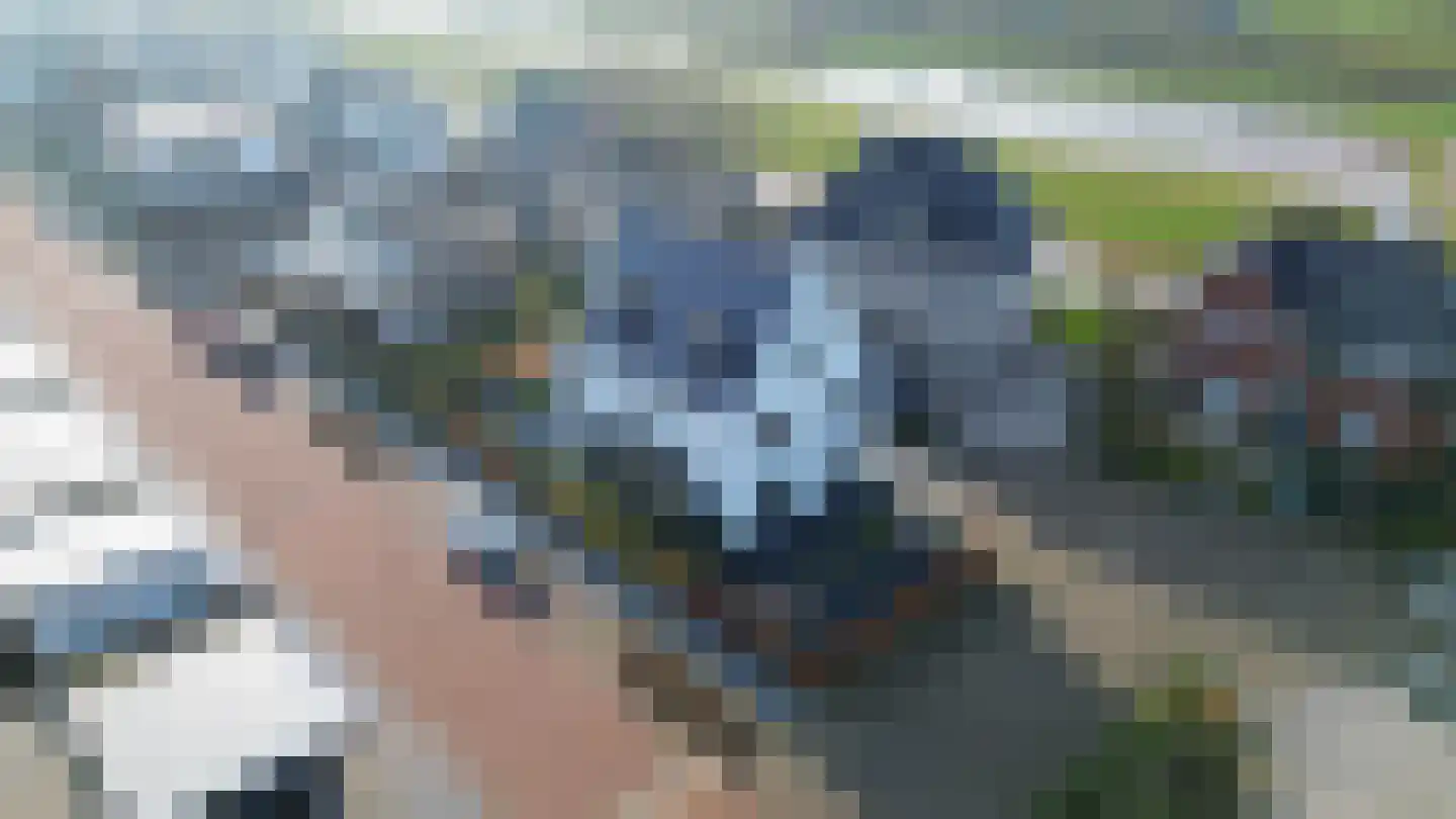Emerald 13 Leerdam thumbnail 69