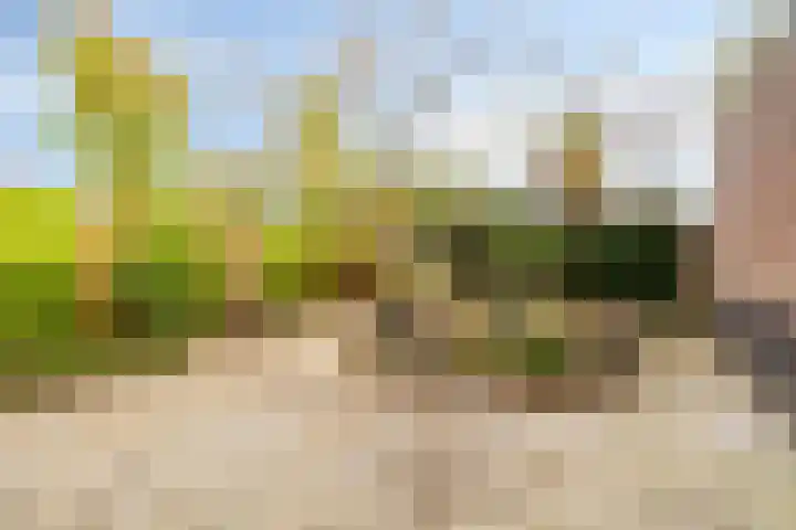 Emeraldpad 22 Rosmalen thumbnail 17