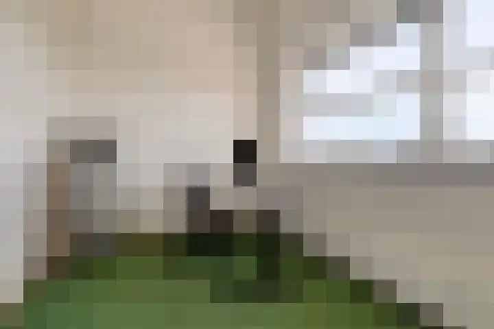 Emeraldpad 22 Rosmalen thumbnail 31
