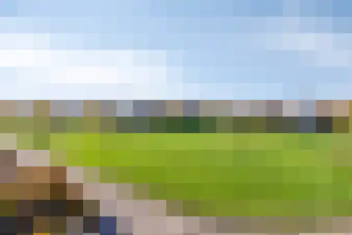 Emeraldpad 22 Rosmalen thumbnail 33