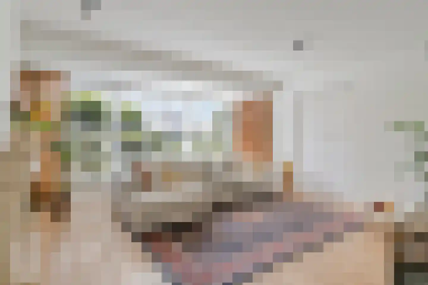 Emeraldpad 24 Rosmalen foto 3