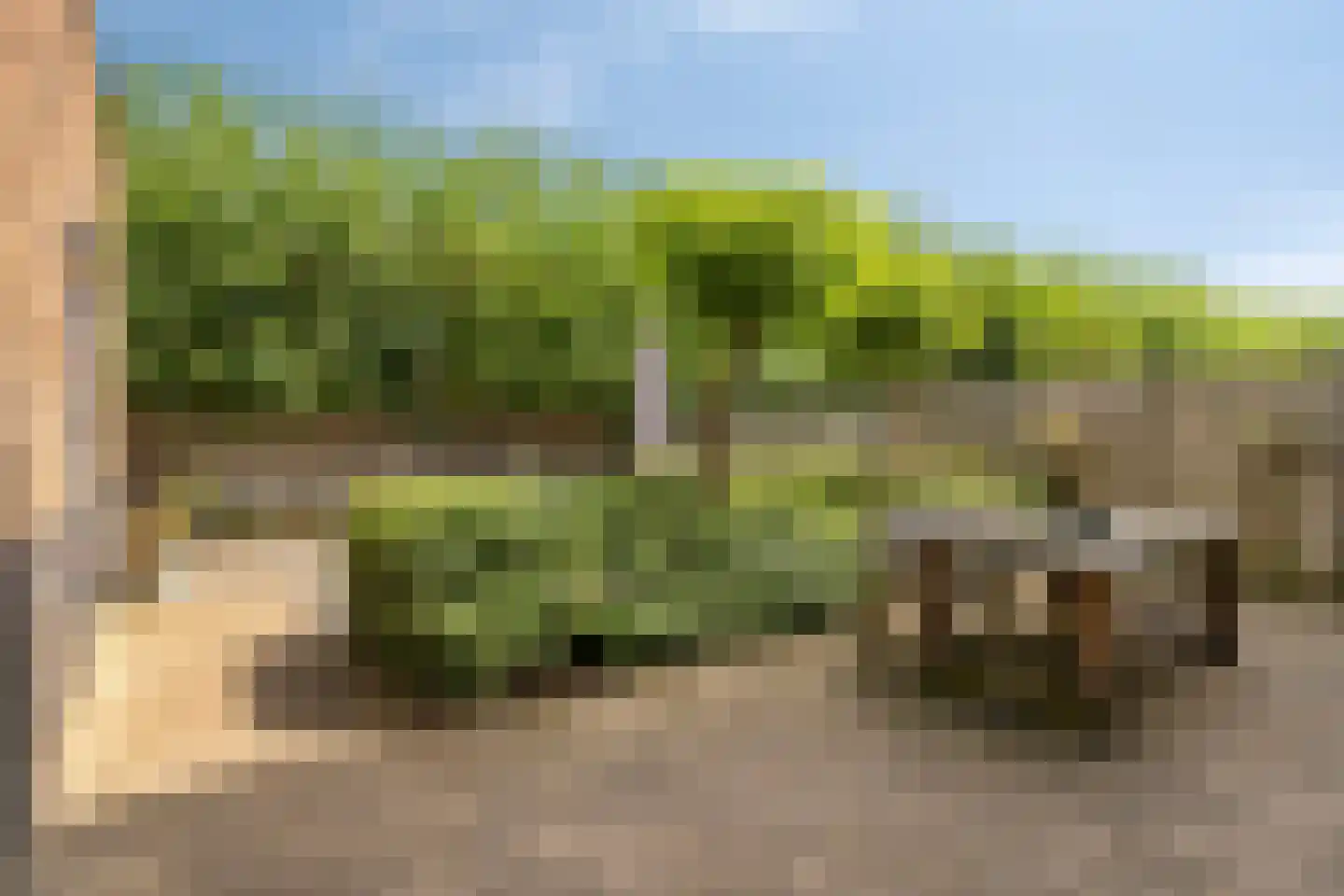 Emeraldpad 24 Rosmalen thumbnail 39