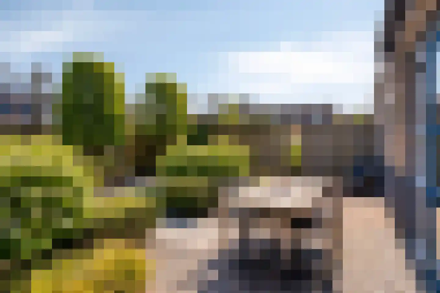 Emeraldpad 26 Rosmalen thumbnail 26