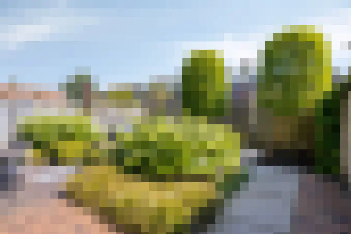 Emeraldpad 26 Rosmalen thumbnail 27
