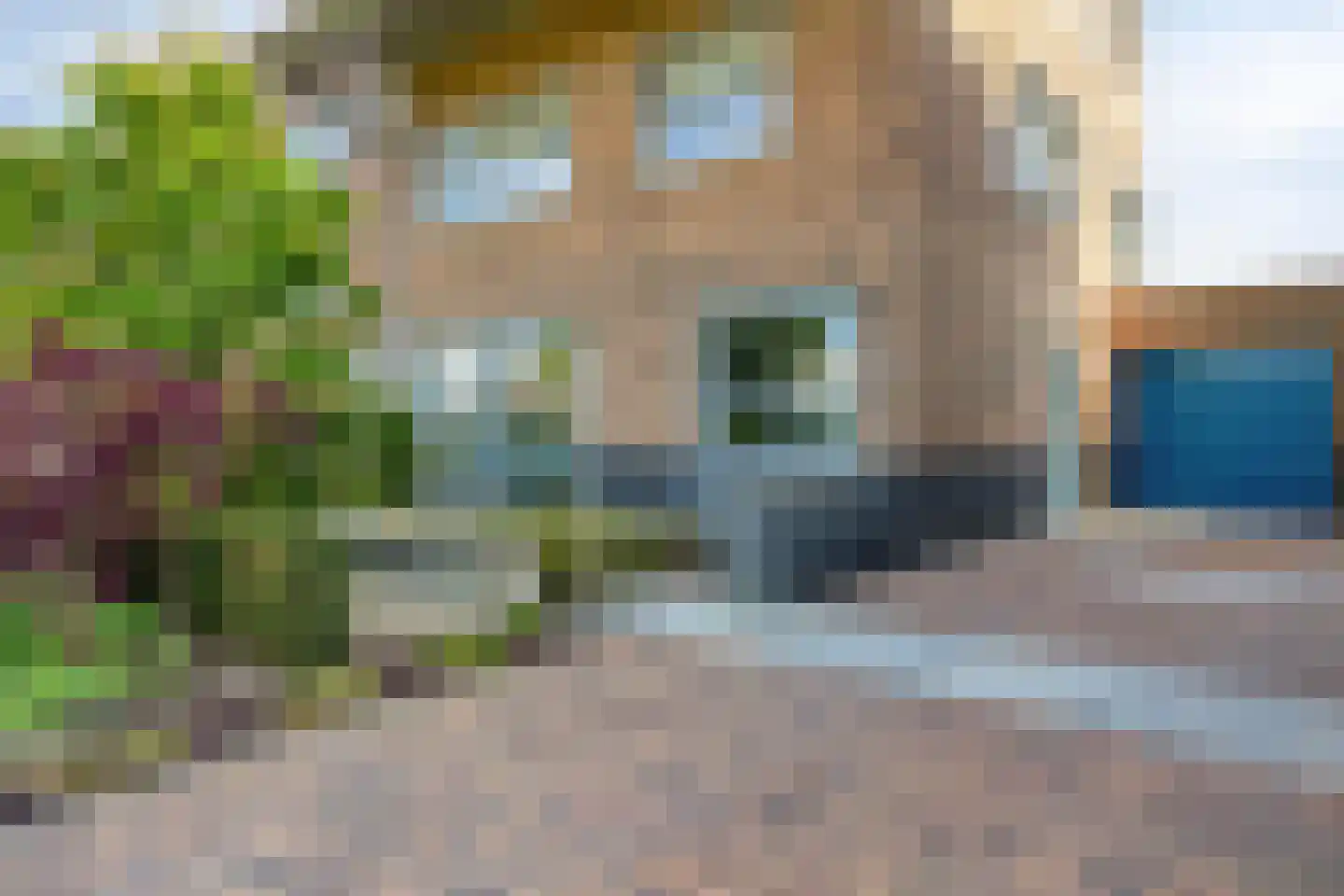 Emeraldpad 26 Rosmalen thumbnail 31