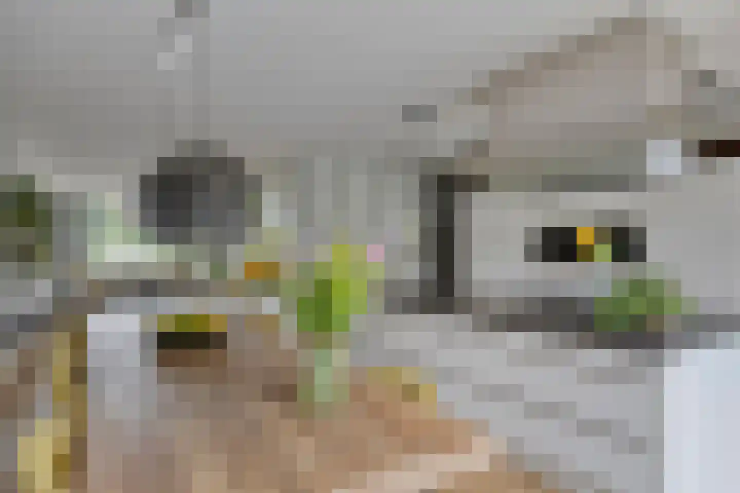 Emeraldpad 50 Rosmalen thumbnail 8