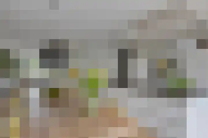 Emeraldpad 50 Rosmalen thumbnail 8