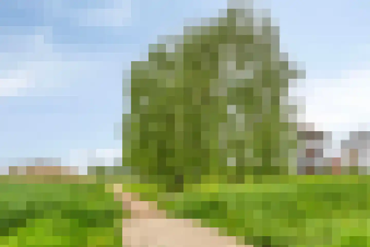 Emeraldpad 58 Rosmalen thumbnail 48