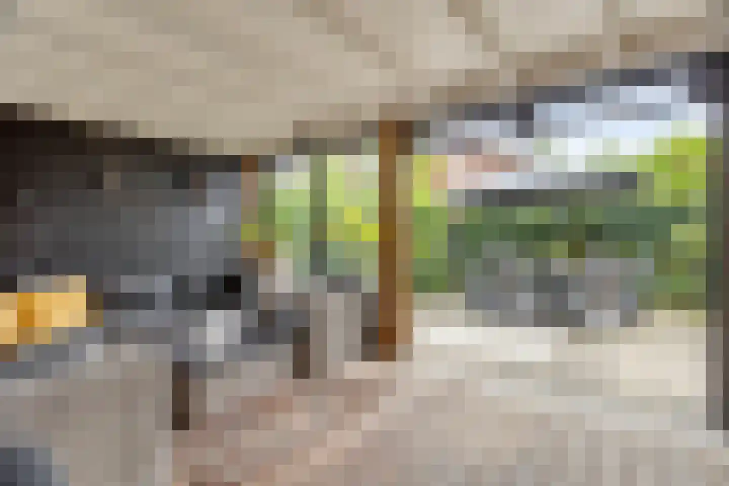 Emeraldpad 58 Rosmalen thumbnail 5