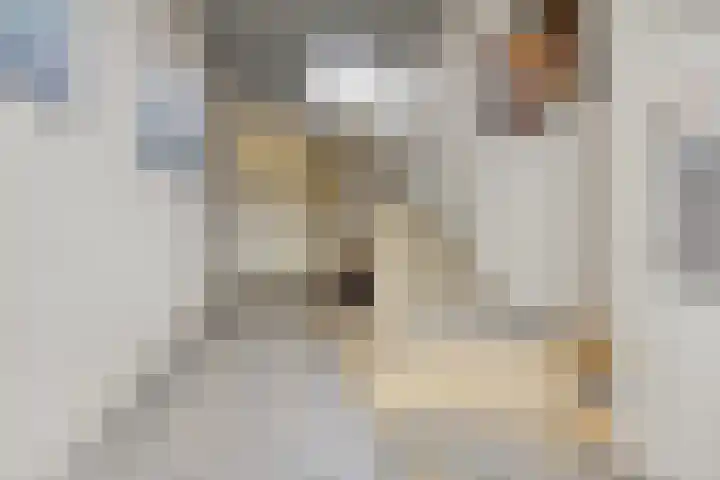 Emiclaerhof 156 Amersfoort thumbnail 7