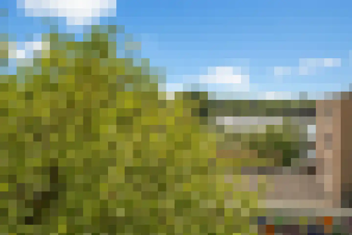 Emiclaerhof 350 Amersfoort thumbnail 11