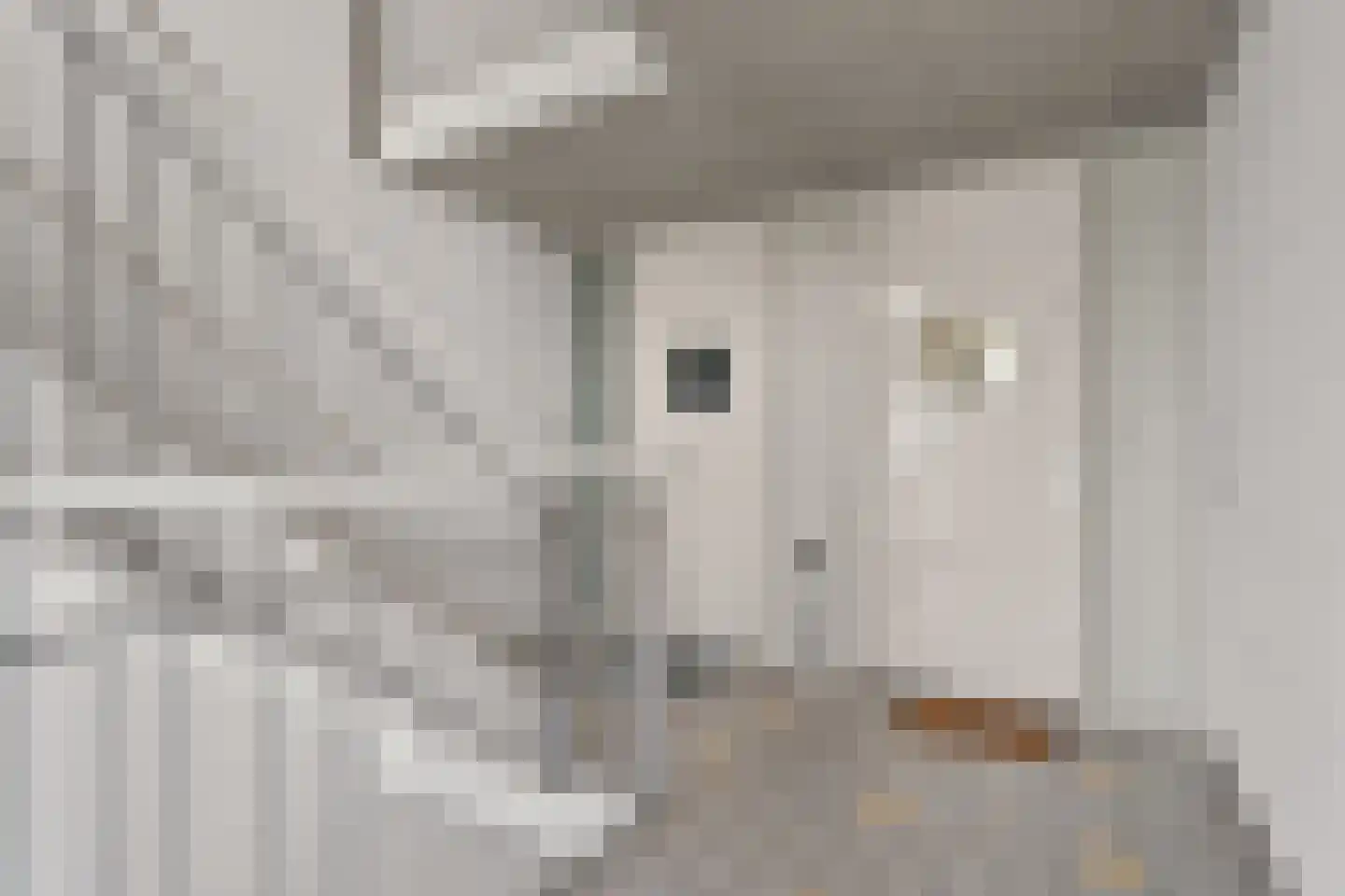 Emiclaerhof 350 Amersfoort thumbnail 31