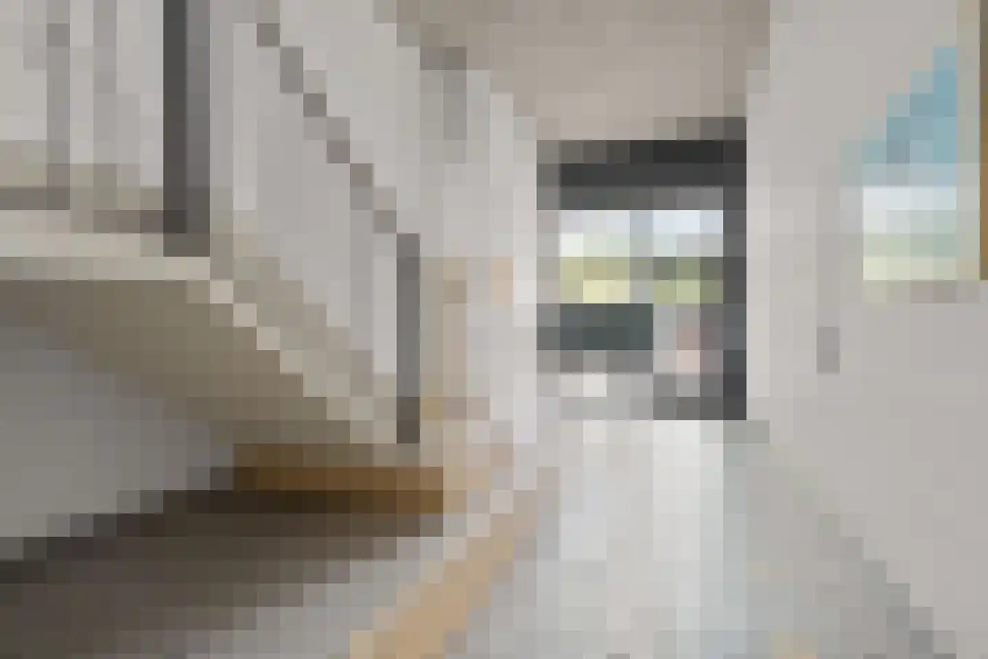 Emiclaerhof 350 Amersfoort thumbnail 34
