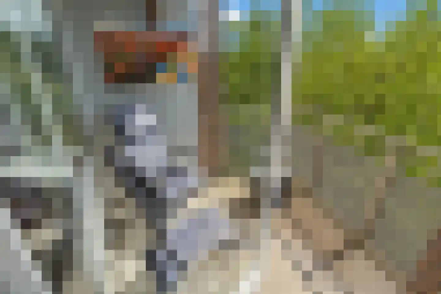 Emiclaerhof 350 Amersfoort thumbnail 8