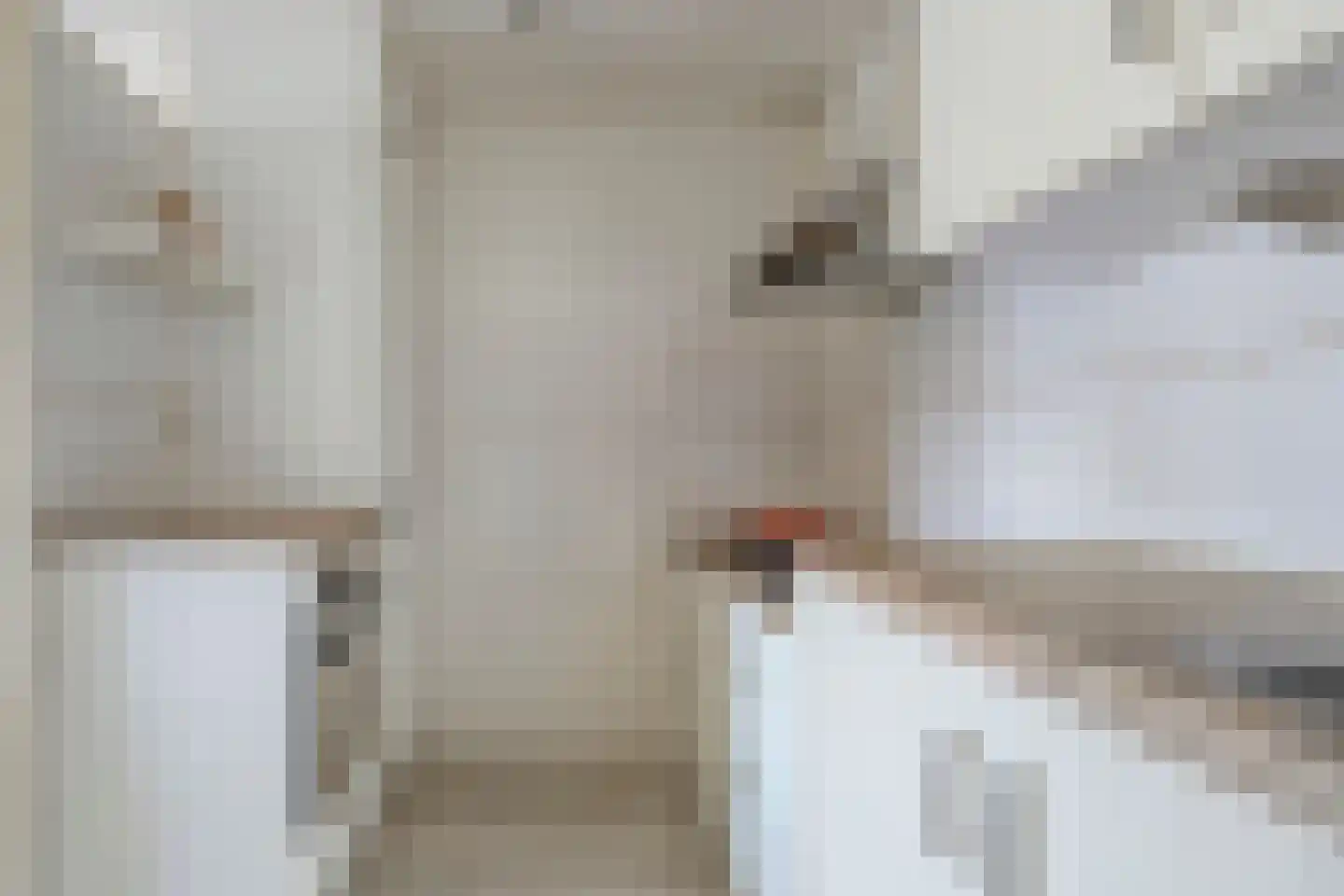 Emiclaerhof 54 Amersfoort thumbnail 21