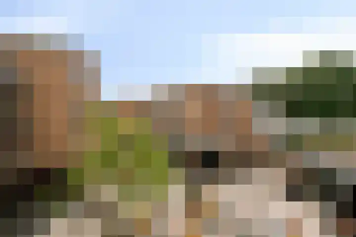 Emiclaerhof 70 Amersfoort thumbnail 15