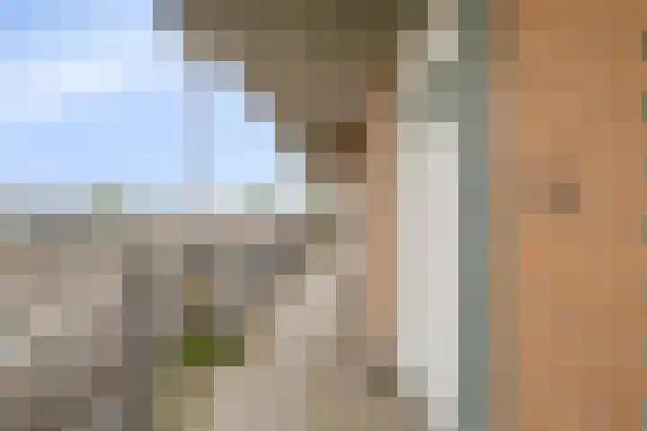 Emiclaerhof 70 Amersfoort thumbnail 16