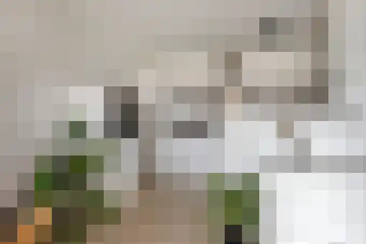 Emiclaerhof 70 Amersfoort thumbnail 8