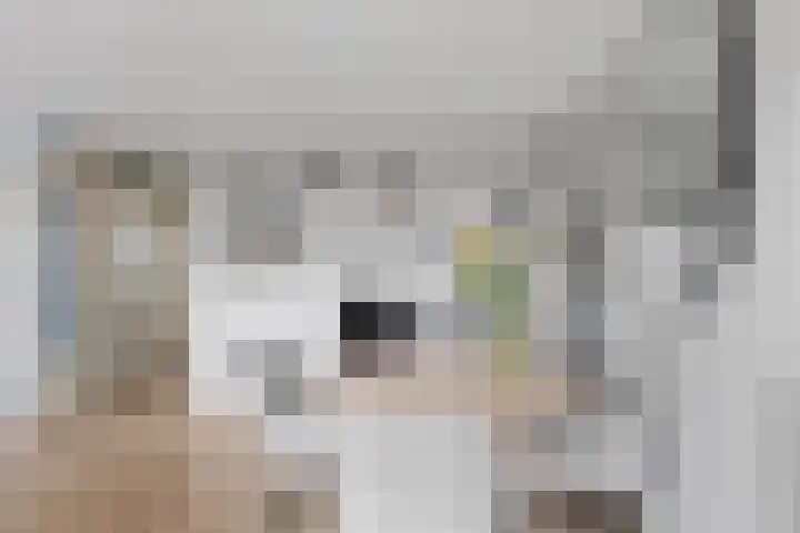 Emiclaerhof 82 Amersfoort thumbnail 17