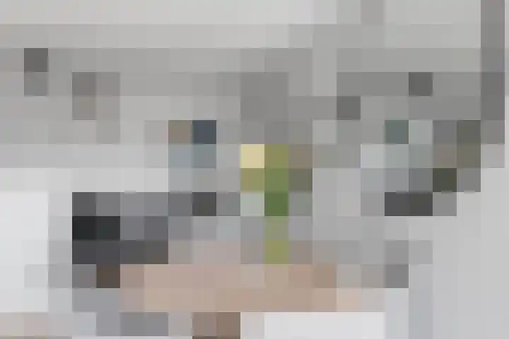Emiclaerhof 82 Amersfoort thumbnail 19